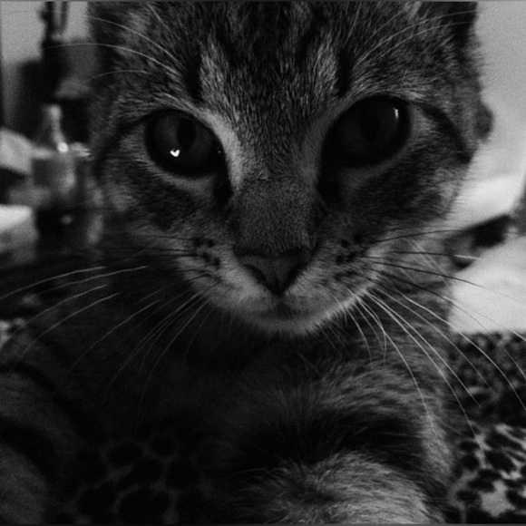 Meet your Posher, Amy Kathleen ๐ Posh Ambassador ๐ - Picture 8 of 10